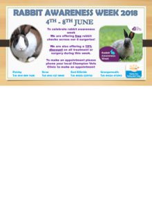 Rabbit Awareness Week