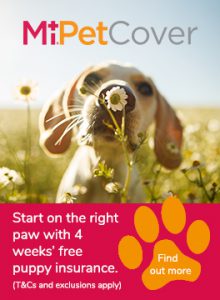 MiPet Cover puppy insurance advert